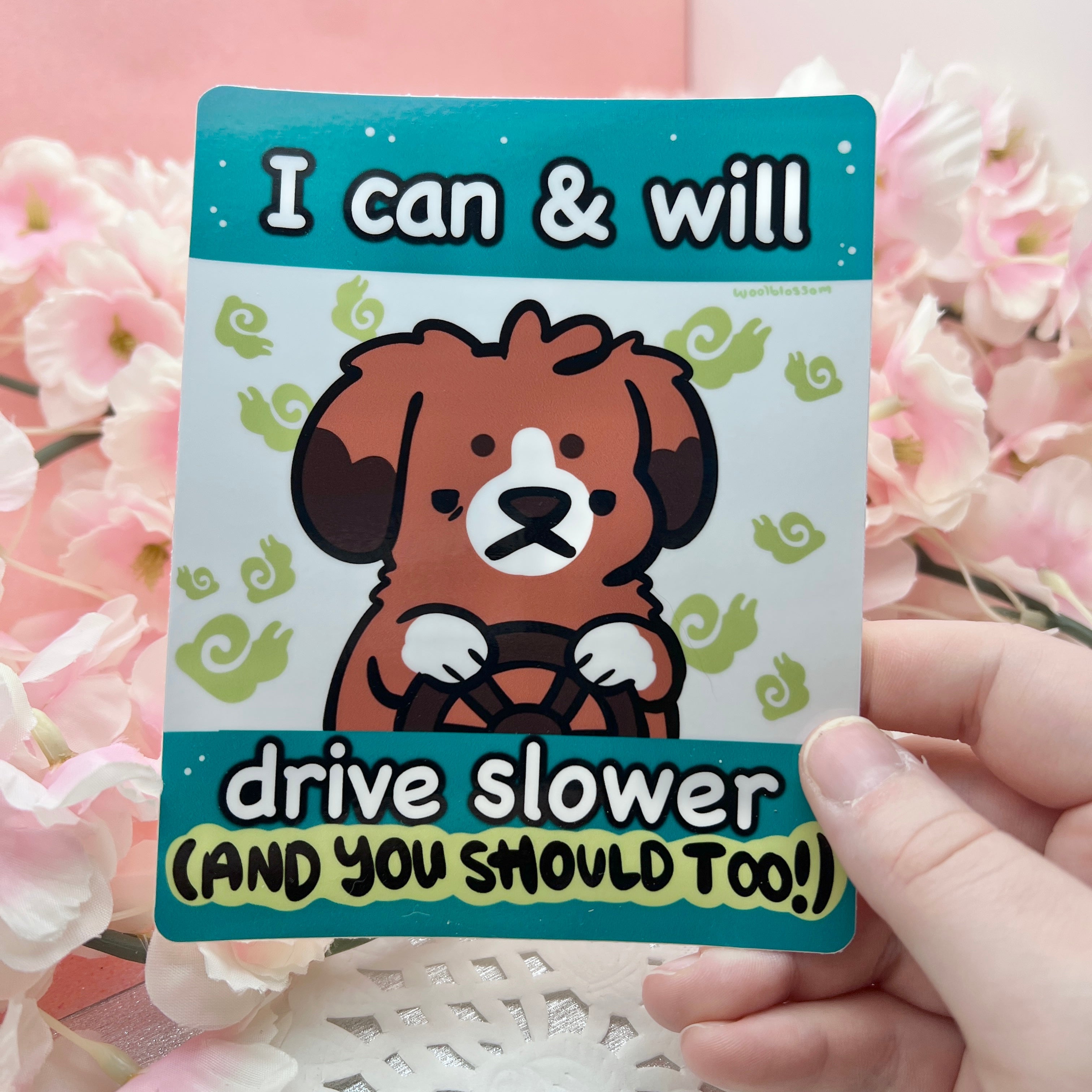I Can and Will Drive Slower ~ Bumper Sticker