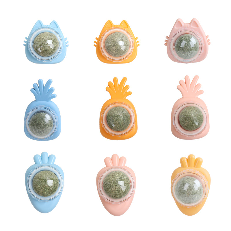 Catnip Ball Toy