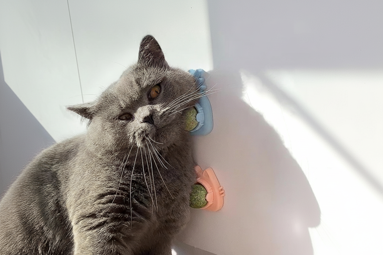Catnip Ball Toy