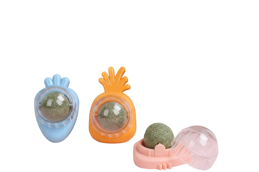 Catnip Ball Toy