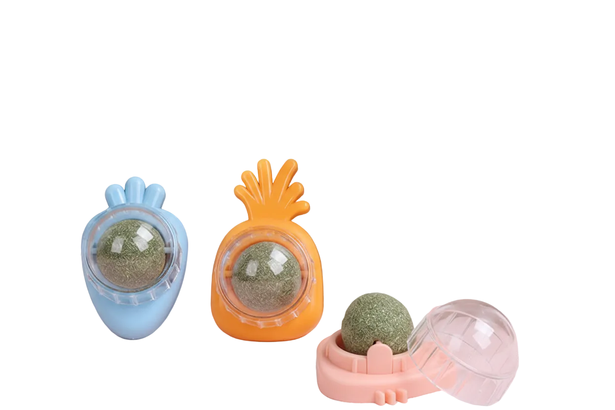 Catnip Ball Toy